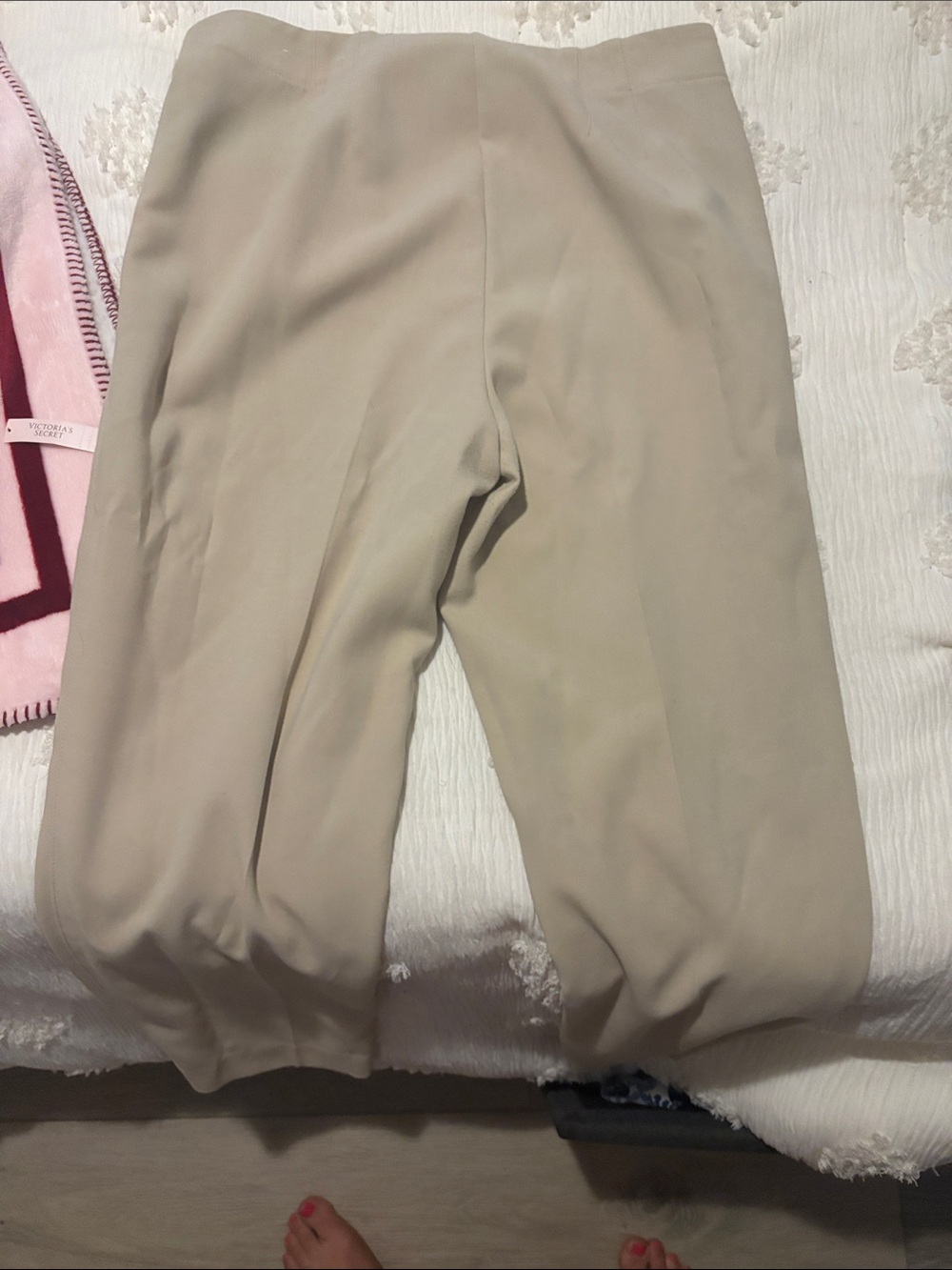 Ann Taylor Beige Cropped Dress Pants